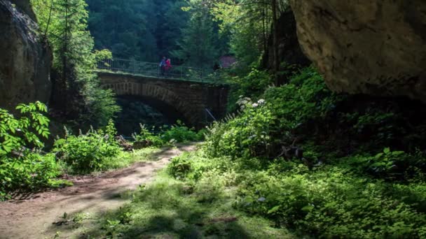 Dois Caminhantes Caminhando Uma Velha Ponte Pedra Longe Floresta — Vídeo de Stock