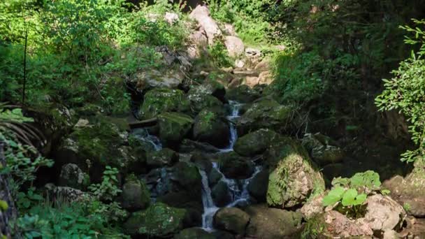 Kleiner Wasserfall Stürzt Moosbewachsene Felsen Sonnenbeschienenen Wald Hinunter — Stockvideo