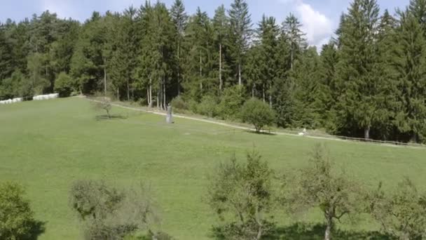 Împingerea Aeriană Cuplului Turistic Care Plimbă Natură Slovenă — Videoclip de stoc
