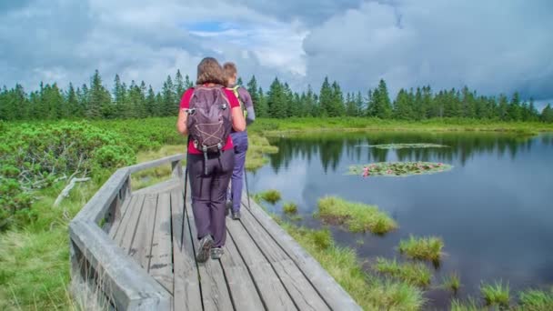 两个徒步旅行者沿着湖边散步 停下来指向湖边 — 图库视频影像