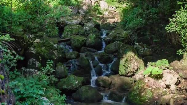 Пан Вниз Красивый Пышный Лес Водопады Худа Лукня Словенский Мимо — стоковое видео