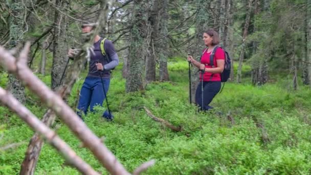 Dos Jóvenes Excursionistas Naturaleza Verde Caminando Bosque Usando Bastones Ribnisko — Vídeos de Stock