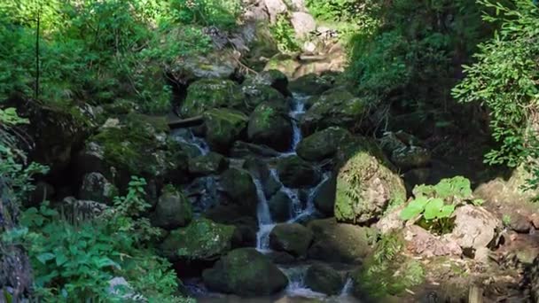 Stream Huda Luknja Flowing Slow Motion Shot Summer Dolic Slovenia — Vídeos de Stock