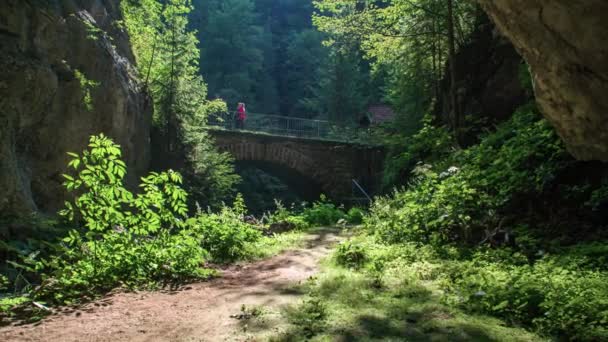 Tiro Deslizante Dois Caminhantes Descobre Uma Ponte Tijolo Floresta — Vídeo de Stock
