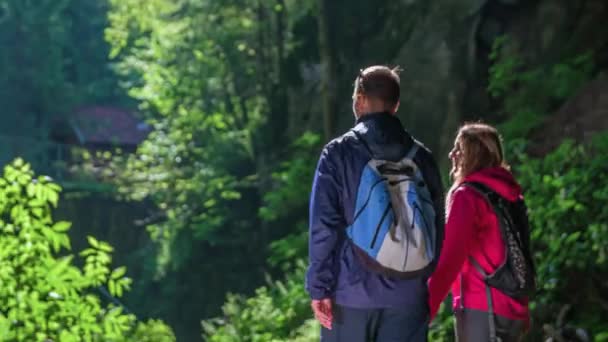 Hikers Explore Surroundings While Walking Forest — Stock Video