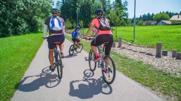 Rodzina Rowerzystów Zatrzymała Się Szlaku Asfaltowym Aby Bawić Się Drewnianym — Wideo stockowe