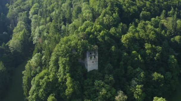Château Bukovje Puktajn 13Ème Siècle Médiéval Situé Sur Flanc Montagne — Video