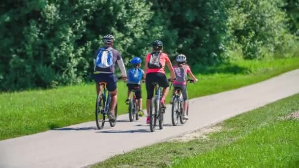 Rodzina Przejeżdżająca Przez Park Przybywa Drewniany Plac Zabaw Przygody — Wideo stockowe