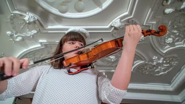 Violinista Femenino Toca Dvorec Bukovje Grado Esloveno Primer Plano Primer — Vídeo de stock