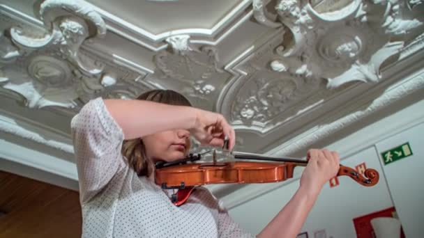 바이올리니스트 바이올린 연출가 따라오는 — 비디오