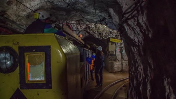 Grupo Crianças Saindo Trem Para Sua Turnê Educativa Patrimônio Cultural — Vídeo de Stock