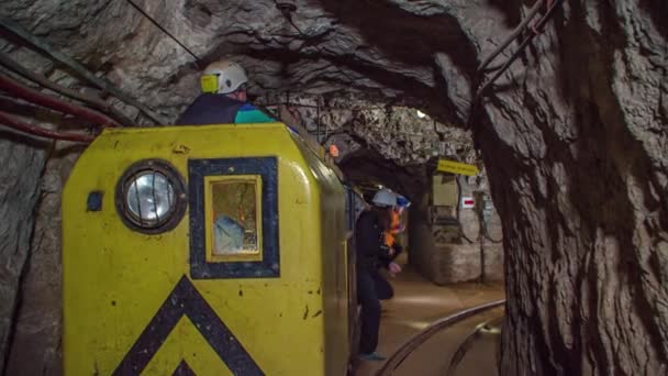 ツアーガイドと訪問者は ペカ鉱山で機関車の運転手を迎える スロベニア — ストック動画