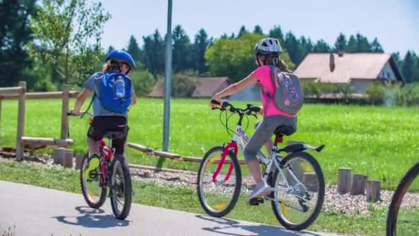 Family Four Ride Bikes Path Sunny Afternoon Slovenia — Stock Video