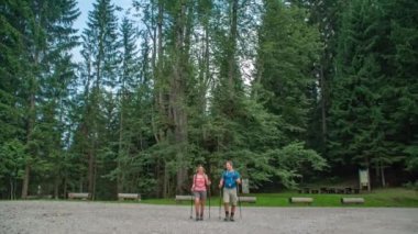 Yürüyüşçüler, Slovenya 'nın en eski ıhlamur ağacına bakarak kollarını açtılar. Eğil.