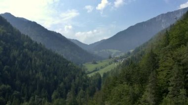 Güneşli bir günde, sakin ve sakin bir manzarayı temsil eden yoğun uzun ağaçlarla dağlarda ilerleyen hava aracı görüntüleri..