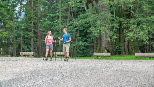 休憩所でハイカー夫婦は彼らが渡ってきた森を振り返る — ストック動画
