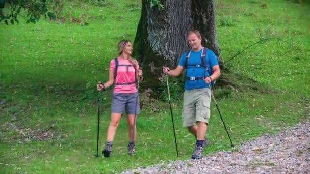 Young Couple Trekking Together Woods Summer Enjoying Healthy Lifestyle — Stock Video