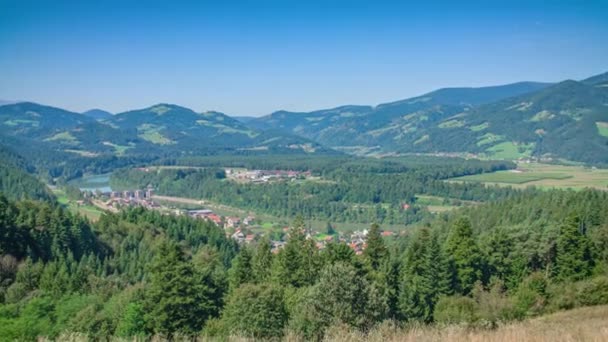 Πανοραμική Λήψη Πράσινων Δέντρων Στην Κοιλάδα Vuzenica Σλοβενία — Αρχείο Βίντεο