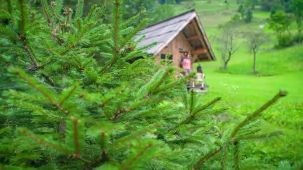 Caminhando Casal Errante Perto Uma Casa Madeira Floresta Explorando Arredores — Vídeo de Stock