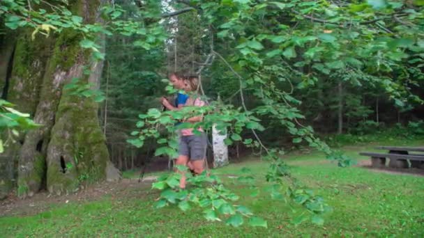 Hombre Mujer Cámara Lenta Caminando Por Bosque Mirando Árbol Gigante — Vídeo de stock