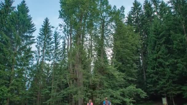 Caucasian Man Woman Hikers Cheerfully Looking Najevska Linden Tree — Stock Video