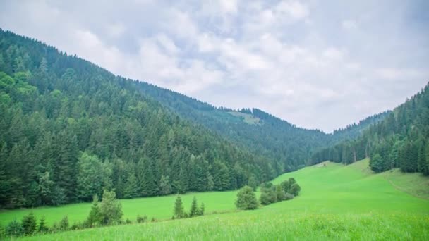 Vista Idílica Del Bosque Las Montañas Cielo Nublado Del Valle — Vídeo de stock