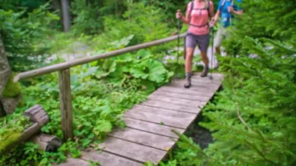 森の中の小さな木製の橋の上に女性と男のハイキング カメラに近づいて — ストック動画