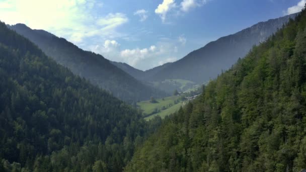 Przenoszenie Zdjęć Dronów Przez Góry Gęstymi Wysokimi Drzewami Reprezentującymi Spokojny — Wideo stockowe