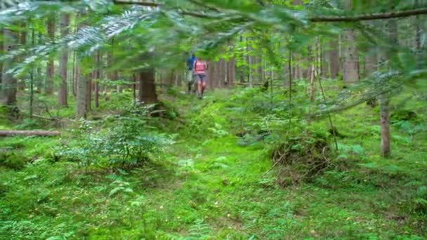 Fotografía Cámara Lenta Del Hombre Mujer Caminando Por Bosque Aventura — Vídeos de Stock