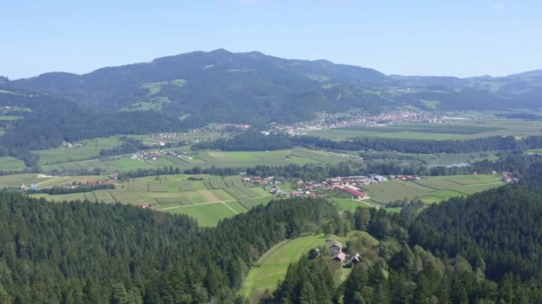 Antenne Von Häusern Tal Wald Und Gebirge Sommer — Stockvideo