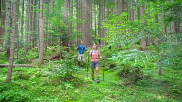 Caminando Por Bosque Medio Naturaleza Pareja Una Aventura Senderismo Valle — Vídeo de stock