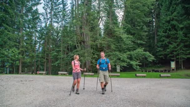 Active Caucasian Couple Hiking Old Linden Tree Slovenia — Stock Video