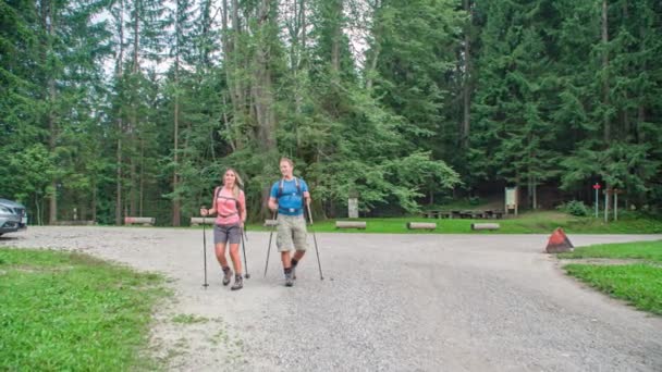 ハイキングギアと周辺を探索するバックパックを持つ放浪者のカップルを歩くナジェフスカ リンデンの木 — ストック動画