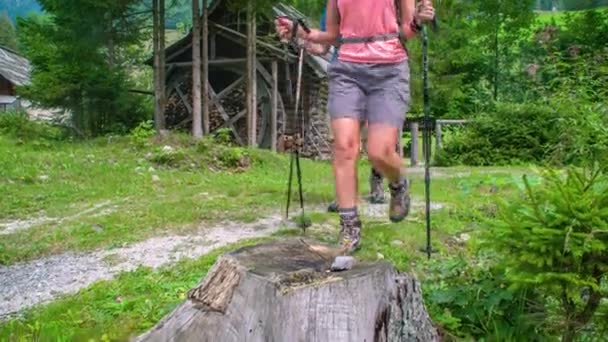木の上を歩く男と女のスローモーションを閉じます 森の中をハイキング スロベニアのトプラ渓谷 — ストック動画