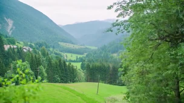 Brede Hoek Linkerkant Panning Schot Van Prachtige Graslanden Heuvels Bomen — Stockvideo