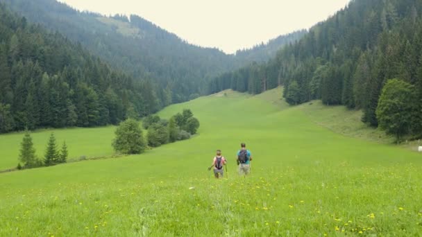 Letecký Sledovat Záběr Samce Samice Pozdních Třiceti Pomocí Trekking Tyče — Stock video