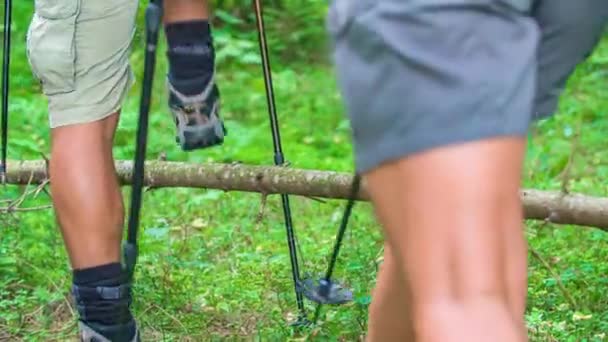 Tiro Ângulo Baixo Casal Esportivo Passando Por Cima Uma Árvore — Vídeo de Stock