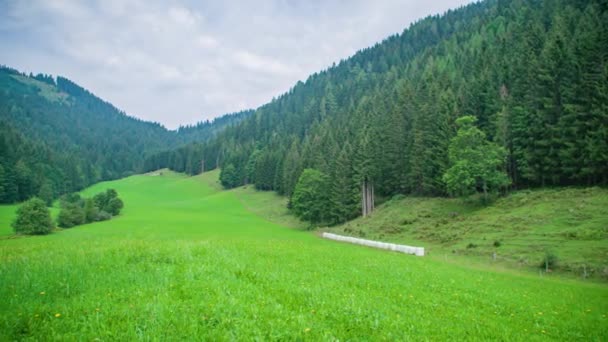 緑豊かな山の牧草地でアルプスの牧歌的な丘陵春の風景の風景パノラマビュー — ストック動画