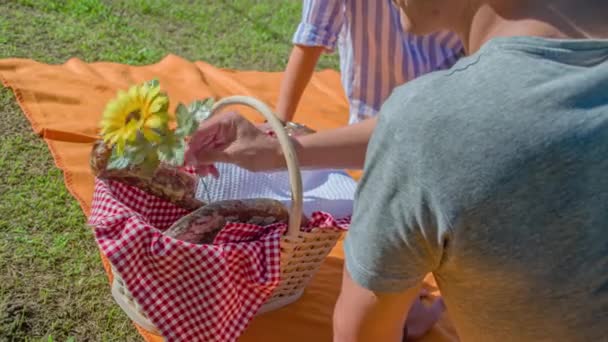 Casal Feliz Apaixonado Jovem Oferta Flor Cesta Piquenique — Vídeo de Stock