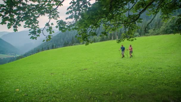 Slow Motion Travel Couple Poles Hiking Green Meadow Mountains Background — Stock Video