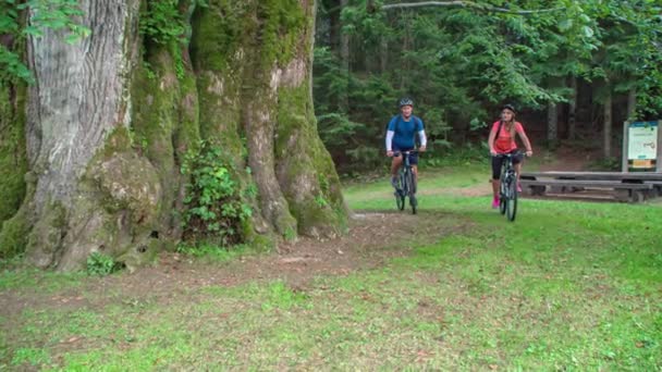 Casal Ativo Andando Bicicleta Floresta Perto Uma Famosa Árvore Najevsa — Vídeo de Stock