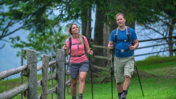 Walking Wanderer Couple Hiking Gear Backpack Exploring Surroundings — Stock Video