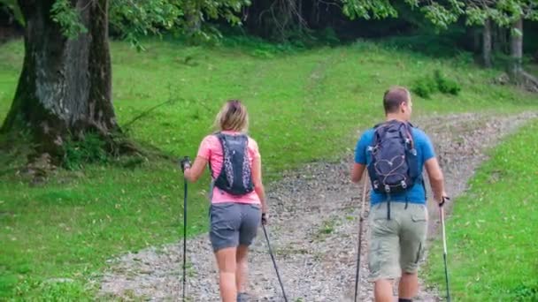 Eingezoomt Von Mann Und Frau Die Durch Den Wald Wandern — Stockvideo