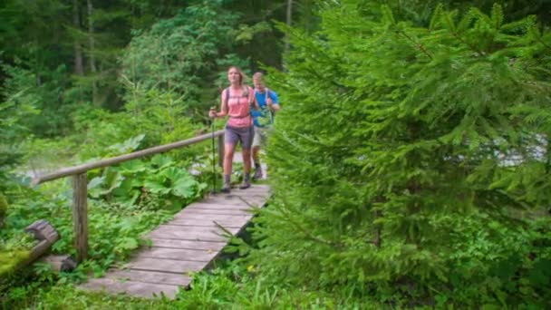 Mann Und Frau Gehen Mit Trekkingausrüstung Über Eine Kleine Brücke — Stockvideo