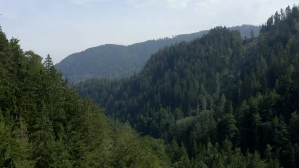 Avançar Imagens Drone Aéreo Movimento Através Montanhas Com Densas Árvores — Vídeo de Stock