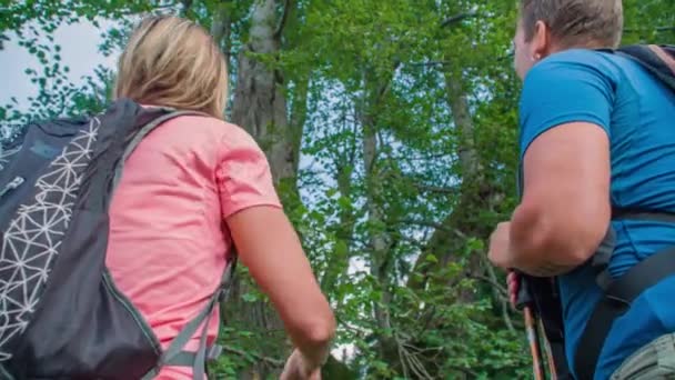 Caucasian Couple Hikers Admiring Famous Najevska Linden Tree Veteran Tree — Stock Video