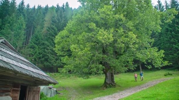 Eğilin Ormanda Yürüyüş Yaptıktan Sonra Ahşap Kulübelerine Dönen Bir Çiftin — Stok video