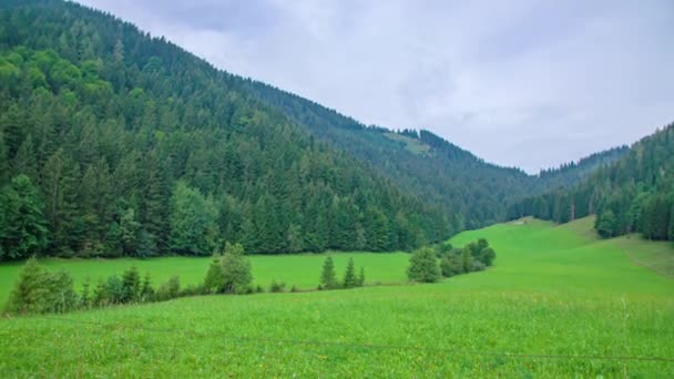 Πλούσια Πράσινο Γαλήνιο Τοπίο Δάση Της Κοιλάδας Topla Σλοβενία — Αρχείο Βίντεο