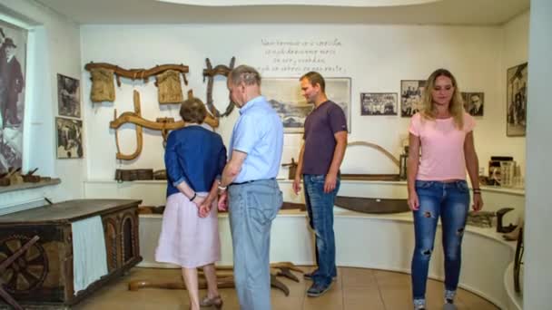 Een Groep Mensen Een Reis Een Museum Zoek Naar Historische — Stockvideo