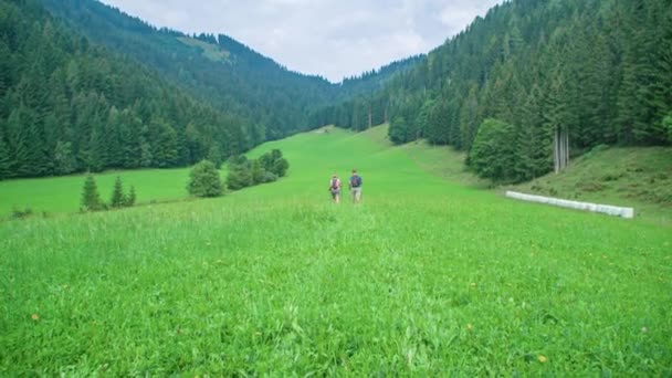 Dos Excursionistas Caminando Través Campo Prado Verde Con Bosque Alrededor — Vídeos de Stock